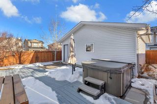 Photo 37: 300 Sagewood Park SW: Airdrie Detached for sale : MLS®# A2104495