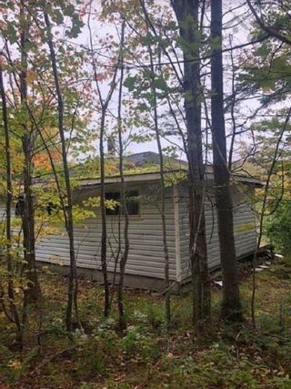 Photo 3: 22176 Ainslie Glen Road in West Lake Ainslie: 306-Inverness County / Inverness Residential for sale (Highland Region)  : MLS®# 202214290