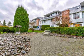 Photo 23: 109 11578 225 Street in Maple Ridge: East Central Condo for sale in "The Willows" : MLS®# R2520190