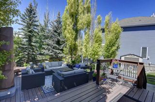Photo 44: 101 Discovery Place SW in Calgary: Discovery Ridge Detached for sale : MLS®# A2014326