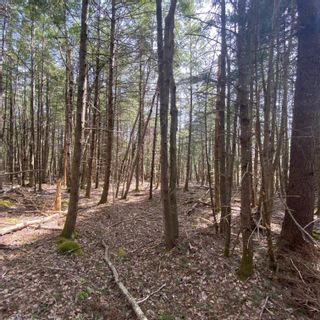 Photo 7: Lot 9 Old Trunk Highway 3 in Hebbs Cross: 405-Lunenburg County Vacant Land for sale (South Shore)  : MLS®# 202312886