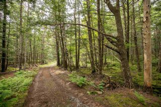 Photo 24: 191 Hamms Hill Road in Blockhouse: 405-Lunenburg County Residential for sale (South Shore)  : MLS®# 202301253
