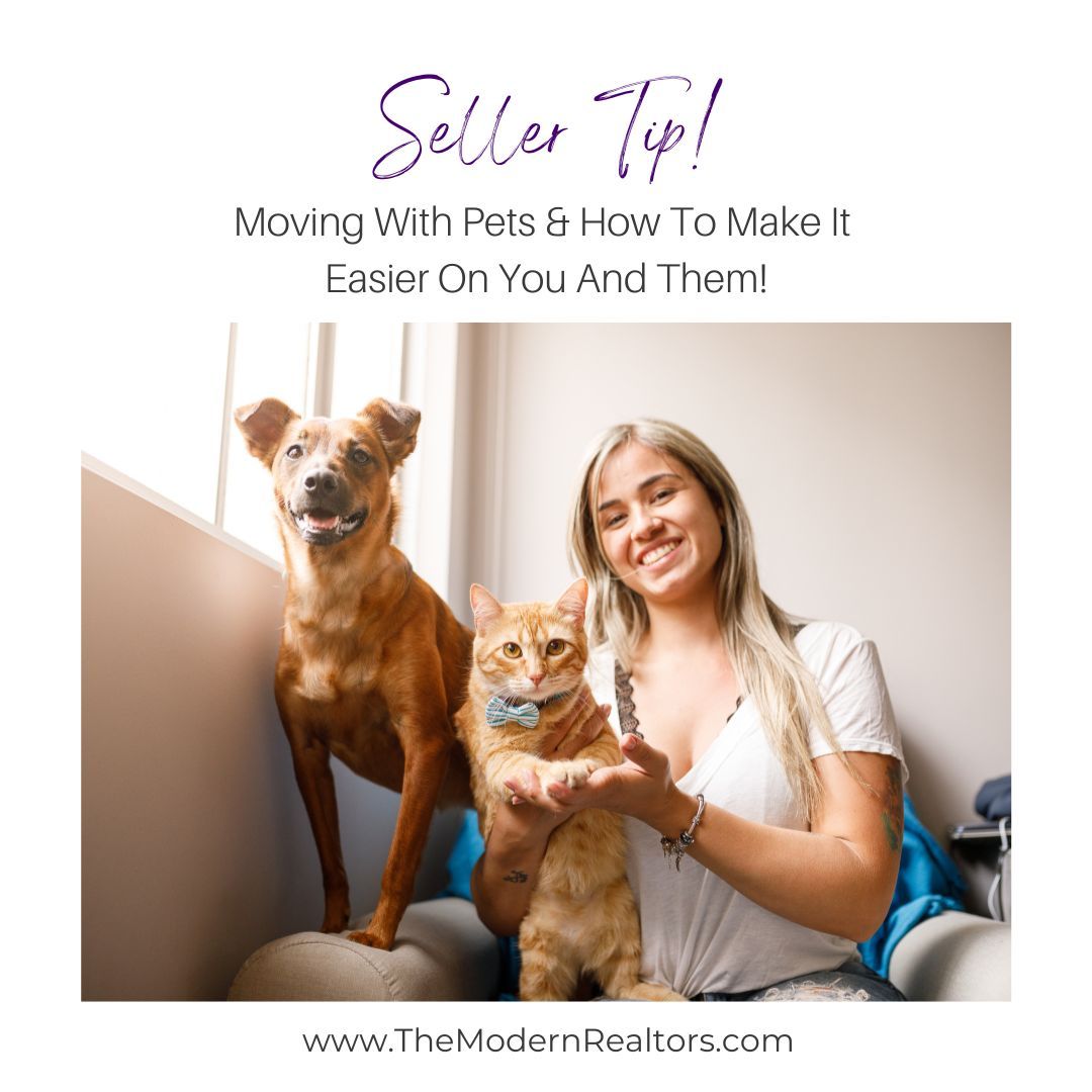 Seller Tip: Moving With Pets & How To Make It Easier On You And Them!
