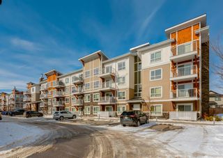 Photo 3: 5105 302 Skyview Ranch Drive NE in Calgary: Skyview Ranch Apartment for sale : MLS®# A2032526