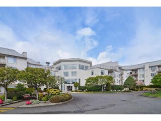 Photo 20: 414 2626 COUNTESS STREET in Abbotsford: Abbotsford West Condo for sale : MLS®# F1438917