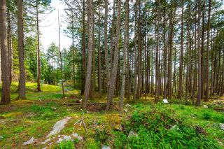 Photo 3: Lot 9 HAYES Road: Bowen Island Land for sale : MLS®# R2863750