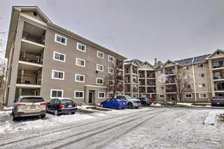 Photo 35: 4122 4975 130 Avenue SE in Calgary: McKenzie Towne Apartment for sale : MLS®# A2097914