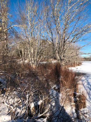 Photo 24: Lot 6 Lakeview Drive in Lake La Rose: Annapolis County Vacant Land for sale (Annapolis Valley)  : MLS®# 202300543