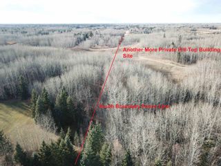 Photo 18: 51313 Rge Road 261: Rural Parkland County Rural Land/Vacant Lot for sale : MLS®# E4269500