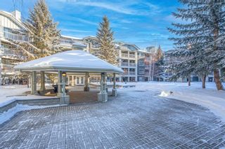 Photo 32: 332 35 Richard Court SW in Calgary: Lincoln Park Apartment for sale : MLS®# A1165954