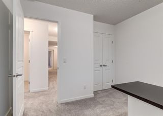 Photo 35: 244 MASTERS Crescent SE in Calgary: Mahogany Detached for sale : MLS®# A1216676