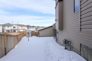 Photo 42: 21 CRANBERRY Cove SE in Calgary: Cranston House for sale : MLS®# C4164201
