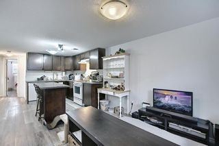 Photo 28: 56 Hazelwood Crescent SW in Calgary: Haysboro Detached for sale : MLS®# A1081567