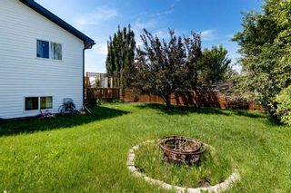 Photo 27: 121 Meadow Park Drive: Carstairs Detached for sale : MLS®# A2061673
