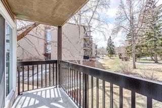 Photo 5: 612 8948 Elbow Drive SW in Calgary: Haysboro Apartment for sale : MLS®# A2127176