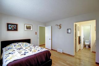Photo 15: 463 Cedarille Crescent SW in Calgary: Cedarbrae Detached for sale : MLS®# A1196341