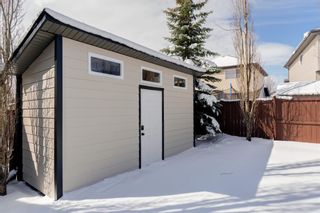 Photo 43: 164 Royal Oak Terrace NW in Calgary: Royal Oak Detached for sale : MLS®# A2122174