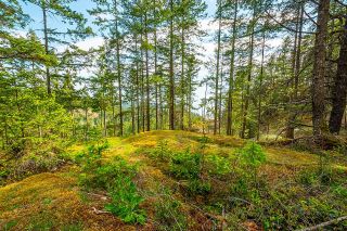 Photo 3: Lot 6 HAYES Road: Bowen Island Land for sale : MLS®# R2864146