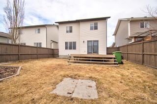 Photo 43: 191 Silver Springs Way NW: Airdrie Detached for sale : MLS®# A1202537