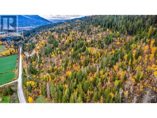 Photo 12: 1477 Enderby Mabel Lake Road in Enderby: Vacant Land for sale : MLS®# 10287720