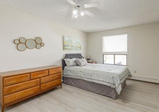 Photo 13: 615 9800 Horton Road SW in Calgary: Haysboro Apartment for sale : MLS®# A1083724