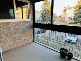 Photo 9: 201 2624 MILLWOODS RD EAST in Edmonton: Zone 29 Condo for sale : MLS®# E4383501