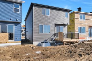 Photo 46: 8036 227 Street in Edmonton: Zone 58 House for sale : MLS®# E4333188
