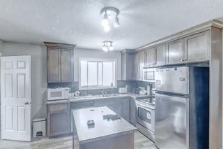 Photo 16: 304 Penworth Drive SE in Calgary: Penbrooke Meadows Detached for sale : MLS®# A2051004