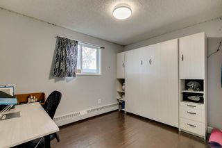 Photo 18: 106 10 Dover Point SE in Calgary: Dover Apartment for sale : MLS®# A1173162