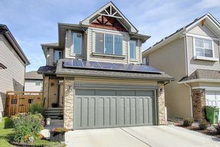 Photo 4: 1023 BRIGHTONCREST Green SE in Calgary: New Brighton Detached for sale : MLS®# A1014253