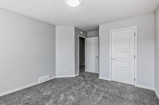 Photo 31: 190 Lucas Close NW in Calgary: Livingston Detached for sale : MLS®# A2107066