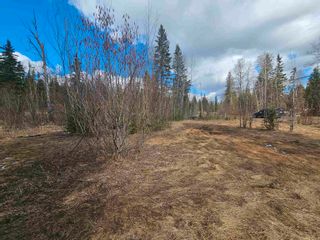 Photo 7: 9733 WALTER Road in Prince George: Haldi Land for sale (PG City South West)  : MLS®# R2871788