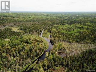 Photo 10: - Canoose Stream Road in Canoose: Vacant Land for sale : MLS®# NB073754