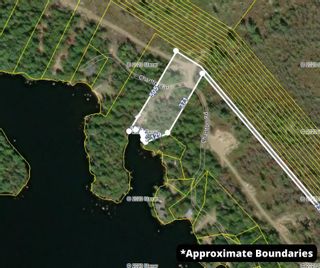 Photo 1: 191 Charlton Road in West Springhill: Annapolis County Vacant Land for sale (Annapolis Valley)  : MLS®# 202402314
