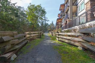 Photo 14: 202 286 Wilfert Rd in View Royal: VR Six Mile Condo for sale : MLS®# 786952