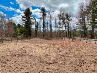 Photo 7: 3342 Highway 1 in Aylesford East: Kings County Residential for sale (Annapolis Valley)  : MLS®# 202207842