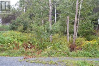 Photo 6: Lot Highway 332|PID#60185071 in East Lahave: Vacant Land for sale : MLS®# 202319457