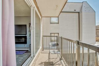 Photo 17: 206 1829 11 Avenue SW in Calgary: Sunalta Apartment for sale : MLS®# A2048820