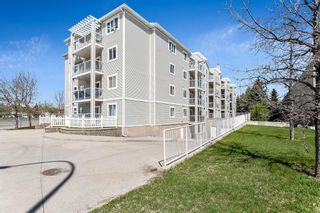 Photo 8: 305 290 Shawville Way SE in Calgary: Shawnessy Apartment for sale : MLS®# A2048768