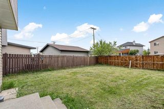 Photo 33: 339 Martinbrook Place NE in Calgary: Martindale Detached for sale : MLS®# A2140064
