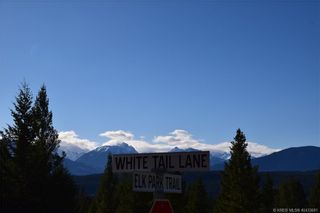 Photo 18: Lot 24 - 7045 WHITE TAIL LANE in Radium Hot Springs: Vacant Land for sale : MLS®# 2466390