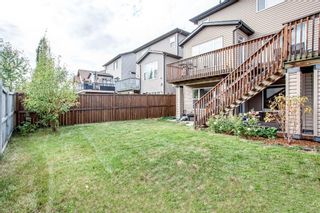 Photo 42: 56 BRIGHTONWOODS Grove SE in Calgary: New Brighton Detached for sale : MLS®# A1026524