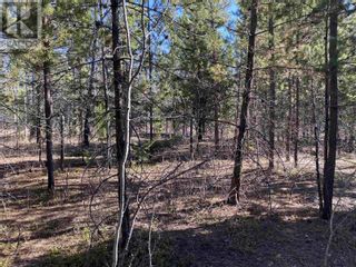 Photo 18: Lot B LONE BUTTE HORSE LAKE ROAD in 100 Mile House: Vacant Land for sale : MLS®# R2870362