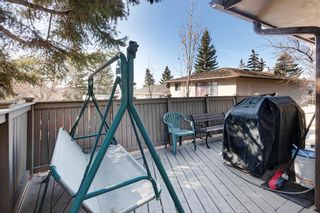 Photo 39: 584 Silvergrove Drive NW in Calgary: Silver Springs Detached for sale : MLS®# A2040189