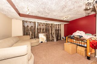Photo 23: 169 CASTLEBROOK Way NE in Calgary: Castleridge Semi Detached (Half Duplex) for sale : MLS®# A2032790