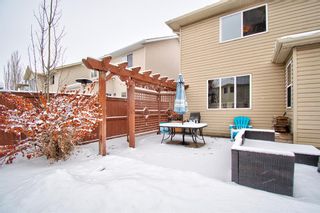 Photo 34: 270 Chapalina Terrace SE in Calgary: Chaparral Detached for sale : MLS®# A2021113