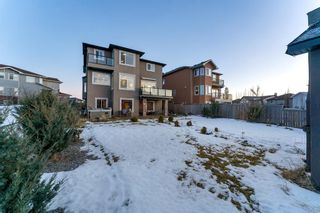 Photo 37: 29 Canals Cove SW: Airdrie Detached for sale : MLS®# A2013144