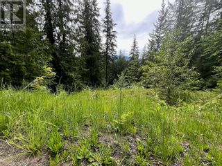 Photo 1: Lot 131 Vickers Trail in Anglemont: Vacant Land for sale : MLS®# 10314886