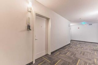 Photo 23: 1113 76 Cornerstone Passage NE in Calgary: Cornerstone Apartment for sale : MLS®# A2127106
