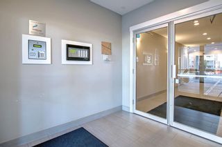 Photo 39: 118 110 Auburn Meadows View SE in Calgary: Auburn Bay Apartment for sale : MLS®# A1257268